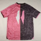 Thai Version Palestino 25/26 Special Jersey
