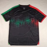 Thai Version Palestino 25/26 Special Jersey