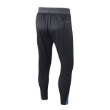 Player Version Tottenham Hotspur 25/26 Pro Training Pants