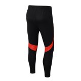 Player Version SL Benfica 25/26 Pro Training Pants