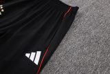 Player Version SL Benfica 25/26 Pro Training Pants