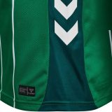 Thai Version Werder Bremen 25/26 Home Jersey