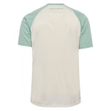 Thai Version Werder Bremen 25/26 Away Jersey
