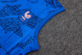 France 25/26 Sleeveless Jersey and Shorts Set D25136