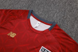 Sao Paulo 25/26 Training Shirt and Shorts Set D25129 - PM