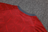 Sao Paulo 25/26 Training Shirt and Shorts Set D25129 - PM