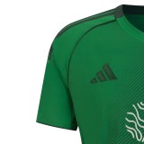 Thai Version Al Ahli SFC 25/26 Home Jersey
