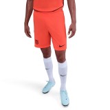 Thai Version Barcelona 25/26 Third Shorts