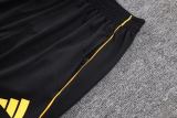 Player Version AS Roma 25/26 Pro Training Pants C2525