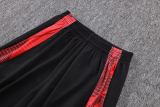 Player Version MUFC 25/26 Pro Training Pants C2529