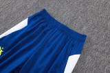 Player Version Olympique Marseille 25/26 Elite Track Pants C2530