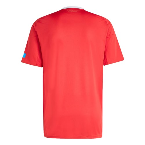 Thai Version 1. FC Nürnberg 25/26 Third Jersey