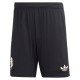 Thai Version Juventus 25/26 Third Shorts