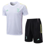 Juventus 25/26 Training Shirt and Shorts Set D25145