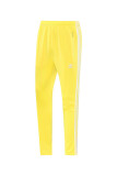 Men's 2025 Training Jacket and Pants Set AJ21