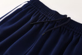 Men's 2025 Training Jacket and Pants Set AJ23 - 1