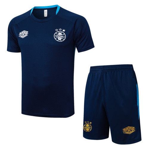 Gremio 25/26 Training Shirt and Shorts Set D25174