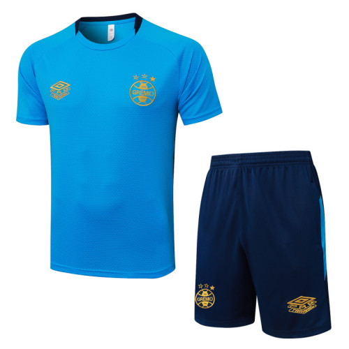 Gremio 25/26 Training Shirt and Shorts Set D25173