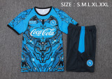 Napoli 25/26 Training Shirt and Shorts Set D25180 - PM