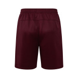Fluminense 25/26 Training Shirt and Shorts Set D25179