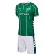 Kids Werder Bremen 25/26 Home Jersey and Short Kit