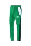Men's 2025 Training Jacket and Pants Set Green NJ17