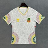 Player Version Mali 25/26 Home Authentic Jersey