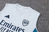ARS 25/26 Sleeveless Jersey and Shorts Set D25192