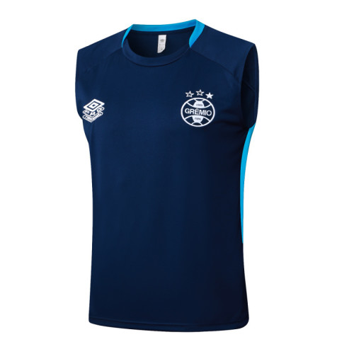 Gremio 25/26 Sleeveless Jersey and Shorts Set D25197