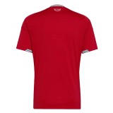 Thai Version Wales 2026 Home Jersey