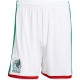 Thai Version Mexico 2026 Home Shorts