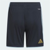Thai Version Argentina 2026 Home Shorts