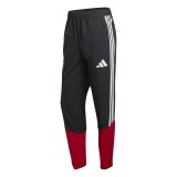 Player Version Germany 2026 Pro Training Pants