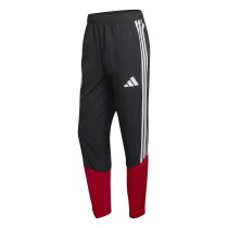 Player Version Germany 2026 Pro Training Pants