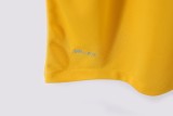 Brazil 2013 Home Retro Jersey