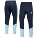 Player Version Argentina 2026 Pro Training Pants