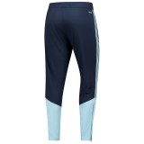 Player Version Argentina 2026 Pro Training Pants