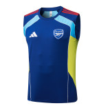 ARS 25/26 Sleeveless Jersey and Shorts Set D25218