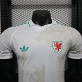 Player Version Wales 2026 Away Authentic Jersey