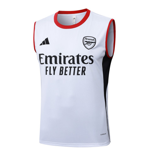 ARS 25/26 Sleeveless Jersey and Shorts Set D25238