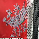 Perugia 1998/1999 Home Retro Jersey