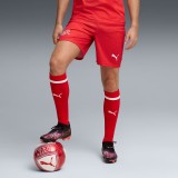 Thai Version Switzerland 2026 Home Shorts