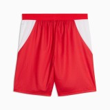 Thai Version Switzerland 2026 Home Shorts