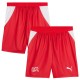 Thai Version Switzerland 2026 Home Shorts