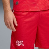 Thai Version Switzerland 2026 Home Shorts
