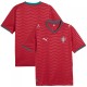 Thai Version Portugal 2026 Home Jersey