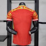 Player Version DR Congo 2026 Third Authentic Jersey