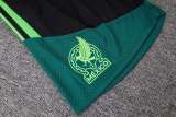 Player Version Mexico 2026 Training Pro Kit D2603