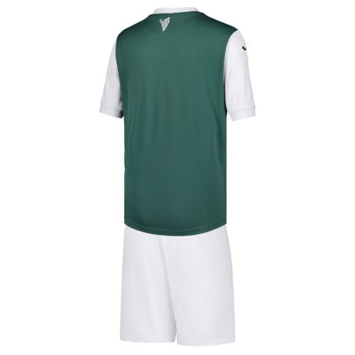 Kids Hibernian 25/26 Home Jersey and Short Kit