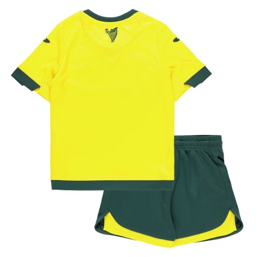Kids Hibernian 25/26 Away Jersey and Short Kit